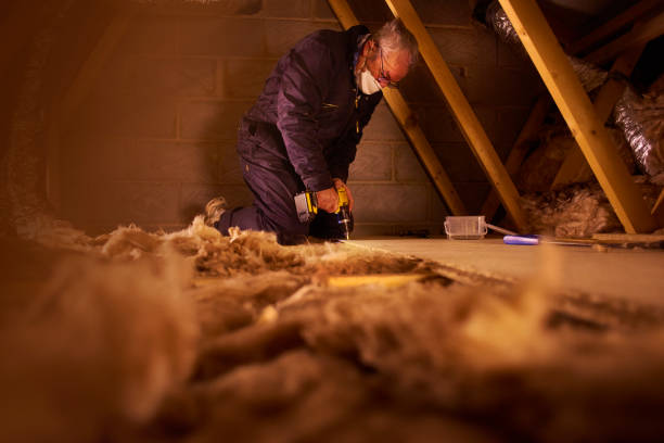 Best Residential Insulation in Gibsonburg, OH